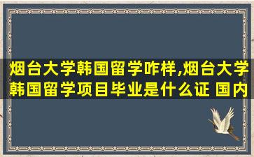 烟台大学韩国留学咋样,烟台大学韩国留学项目毕业是什么证 国内承认度